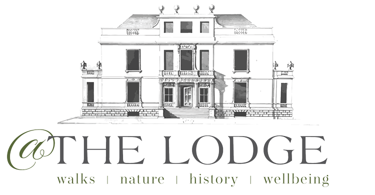 @theLodge Logo
