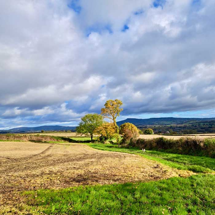 Fields near Ludlow enjoyed on The Ludlow Walking Itinerary