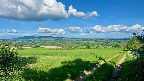 A footpath through green fields with views across the Shropshire hills near Ludlow