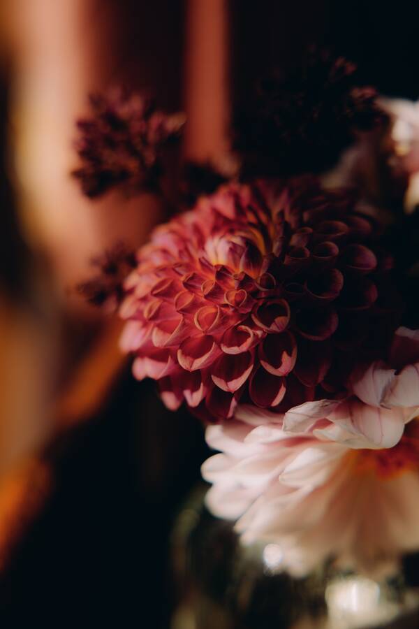 Dahlias from the garden at The Salwey Lodge near Ludlow
