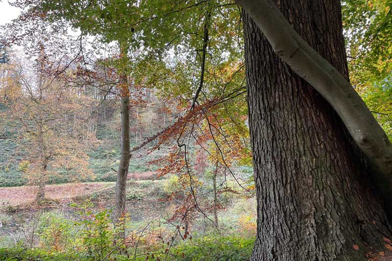 Autumn walking holiday itineraries from The Salwey Lodge
