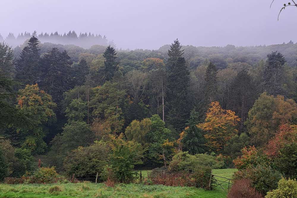 An autumn walking itinerary for walking holiday at historic accommodation at The Salwey Lodge