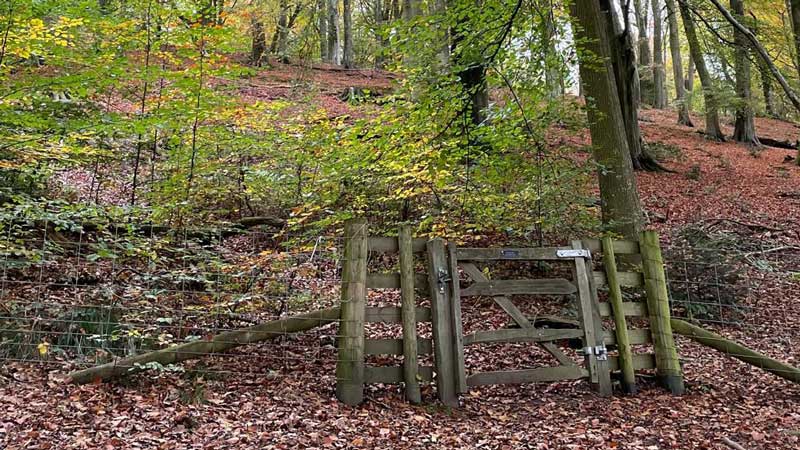 Autumn walks at The Salwey Lodge